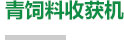 宝兴这个公园正在加快建造